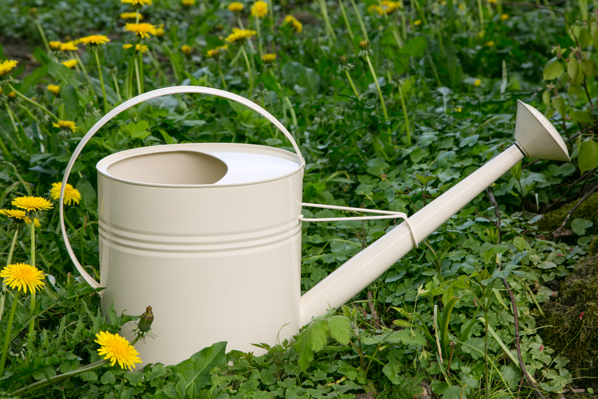 Gießkanne BRUNA Creme 10 Liter