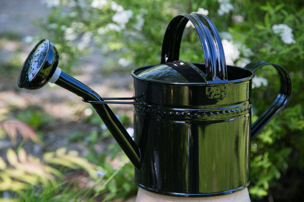 Gießkanne FLEXO Schwarz 3,5 Liter