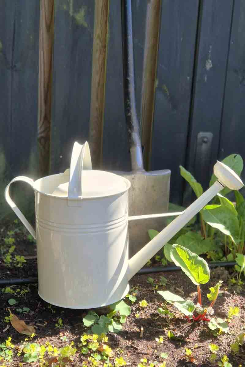 Gießkanne Emily 10 Liter