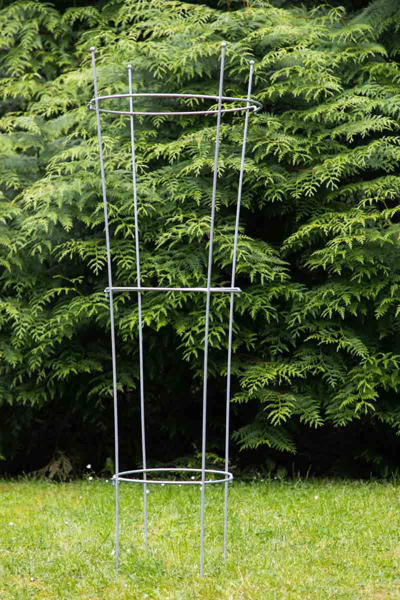 Staudenhalter Thorben 2 tlg. groß 160cm