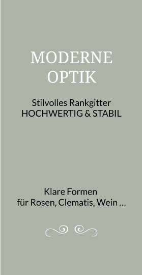 Störer