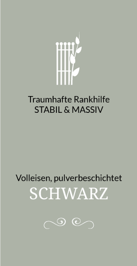 Störer