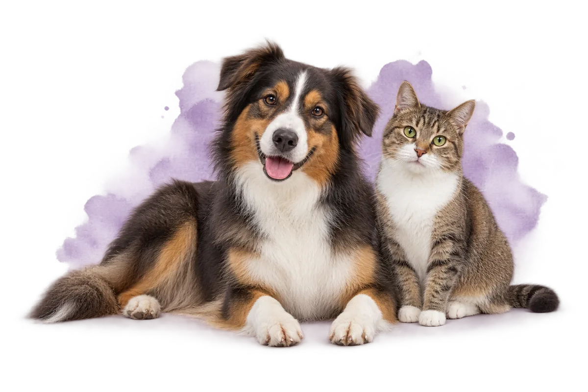 Hund und Katze – Pettys Familienbetrieb aus dem Marchfeld