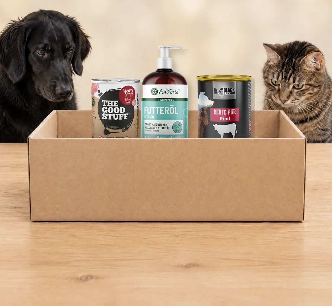 Schwarzer Retriever und getigerte Katze schauen in eine offene Kartonbox mit Produkten von Black Canyon, THE GOODSTUFF und AniForte