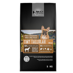 Black Canyon Tiny Tallulah Pferd Black Canyon Tiny Tallulah Pferd