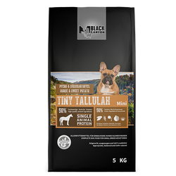 Black Canyon Tiny Tallulah Pferd Black Canyon Tiny Tallulah Pferd