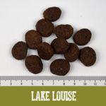 Black Canyon Lake Louise Ente & Süßkartoffel Black Canyon Lake Louise Ente & Süßkartoffel
