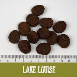 Black Canyon Lake Louise Ente & Süßkartoffel Black Canyon Lake Louise Ente & Süßkartoffel