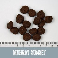Black Canyon Murray Sunset Balance & Senior Truthahn & Lachs Black Canyon Murray Sunset Balance & Senior Truthahn & Lachs