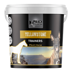 Black Canyon Trainers Yellowstone Pferd Black Canyon Trainers Yellowstone Pferd