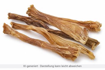 Pferde-Achillessehnen