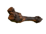 Rinderunterbein-LAMDA-79788.png