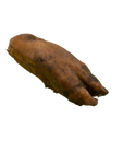 Spitzbeine-LAMDA-79793.png