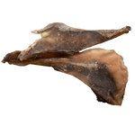 Bullenknorpelblatt-LAMDA-79798.png