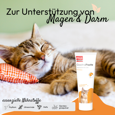 PHA GastroPaste für Katzen