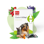 PHA-GelenkVital-LAMDA-79849.png