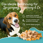 PHA-UngezieferUmgebungsspray-LAMDA-79852.png