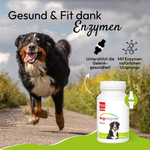 PHA-dogenzyme-Gelenk-100-Tabletten--46-g--LAMDA-79860.png