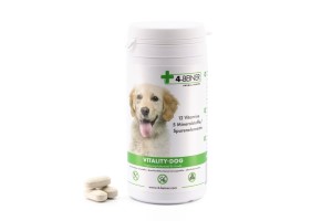 4-BEINER VITALITY-DOG