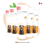 PHA-GastroPaste-fuer-Hunde-LAMDA-79865.png