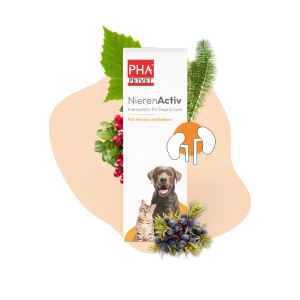 PHA NierenActiv