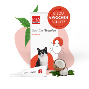 PHA Spot-onTropfen für Katzen