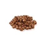 Insekten-Snack-LAMDA-79996.jpg