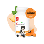 dogenzyme-Darm-LAMDA-80025.png