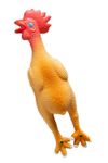 Latexhuhn-mit-Squeaker-LAMDA-80187.jpg