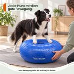 Balance-Donut-fuer-Hunde-LAMDA-80512_1.jpg