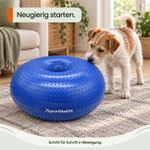Balance-Donut-fuer-Hunde-LAMDA-80512_2.jpg