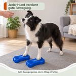 Balance-Knochen-Small-fuer-Hunde-LAMDA-80513_10.jpg