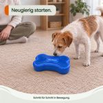 Balance-Knochen-Small-fuer-Hunde-LAMDA-80513_11.jpg