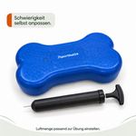Balance-Knochen-Small-fuer-Hunde-LAMDA-80513_12.jpg