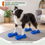 Balance-Knochen-Small-fuer-Hunde-LAMDA-80513_14.jpg