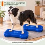 Balance-Knochen-Medium-fuer-Hunde-LAMDA-80514_11.jpg