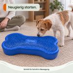 Balance-Knochen-Medium-fuer-Hunde-LAMDA-80514_12.jpg