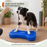 Balance-Knochen-Medium-fuer-Hunde-LAMDA-80514_15.jpg