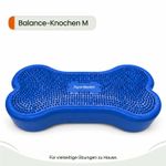 Balance-Knochen-Medium-fuer-Hunde-LAMDA-80514_16.jpg