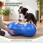 Balance-Peanut-fuer-Hunde-LAMDA-80517_1.jpg