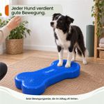 Balance-Knochen-Large-fuer-Hunde-LAMDA-80519_4.jpg