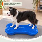 Balance-Knochen-Large-fuer-Hunde-LAMDA-80519_5.jpg