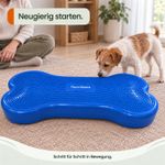 Balance-Knochen-Large-fuer-Hunde-LAMDA-80519_6.jpg