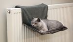 Katzenhaengematte-Paradies-LAMDA-80605.jpg