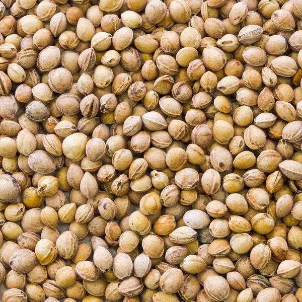 Kirschkerne lose Wärmekissen Kirschkernkissen Körnerkissen Petigi