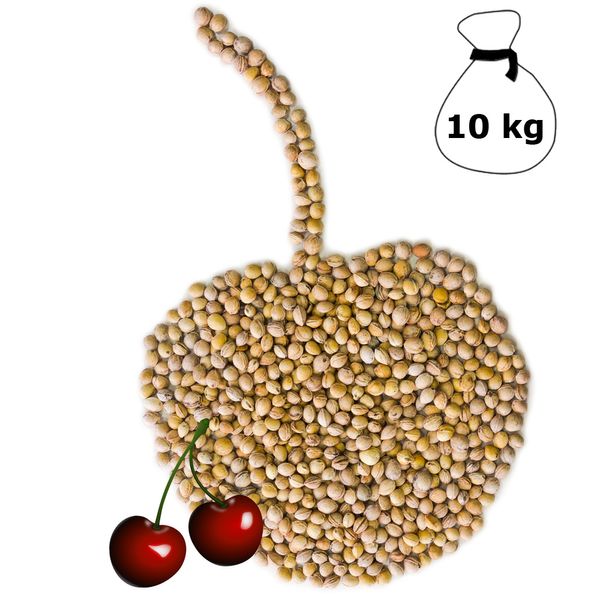 Kirschkerne lose für Wärmekissen 1-30 kg Kirschkernkissen Kissen Waermekissen Baby Füllung Körnerkissen Kerne Koernerkissen Füllmaterial Kirschkern