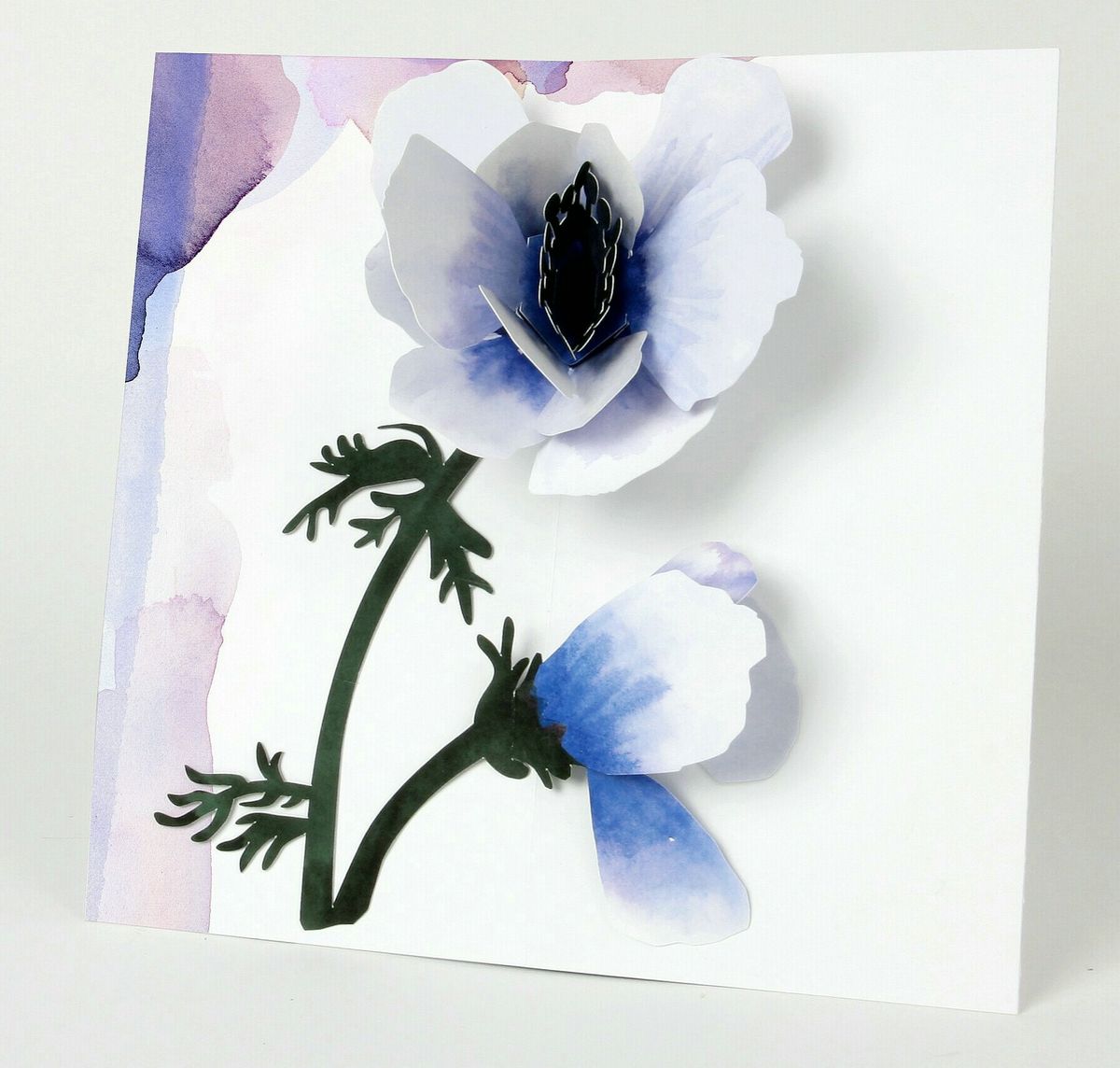 UWP LUXE Geburtstag Pop UP 3D Laser Karte Grußkarte Anemone Blüte ...