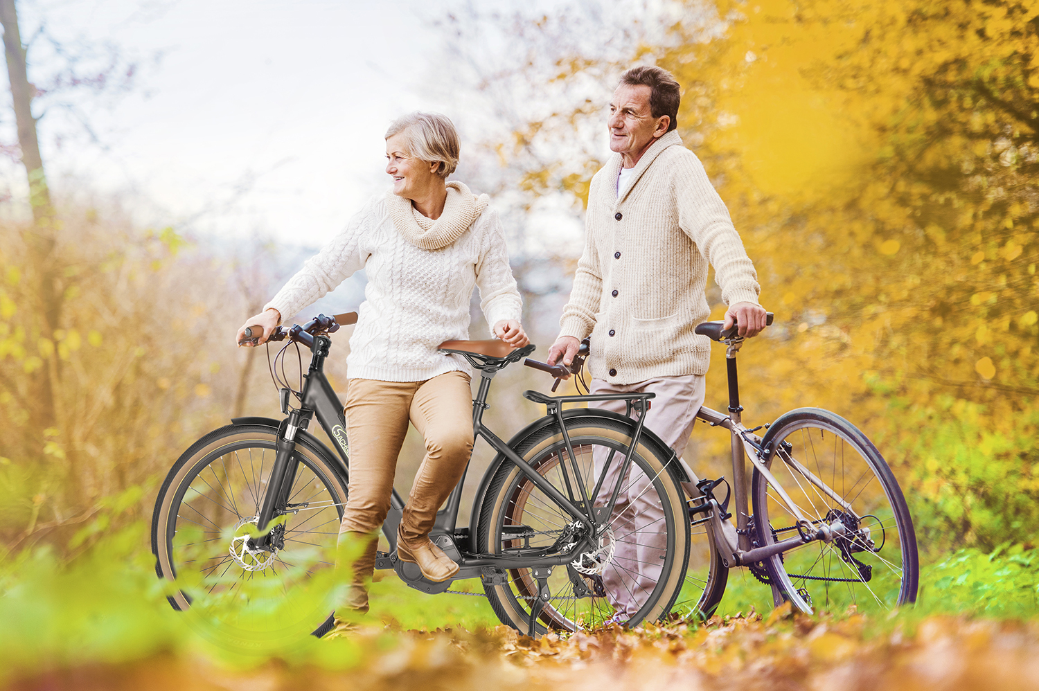 e mountainbike ständer DRAGONWORKS MX Fahrradständer für E-Bikes mit Mittelmotor - Robuste Konstruktion mit 45 kg Traglast - Wartungsfreundlicher mit drehbarem Hinterrad Category:Fahrräder_CUBE H863  1 Color:Basalt other heavy eBikes Kleine Kuchen im Waffelbecher