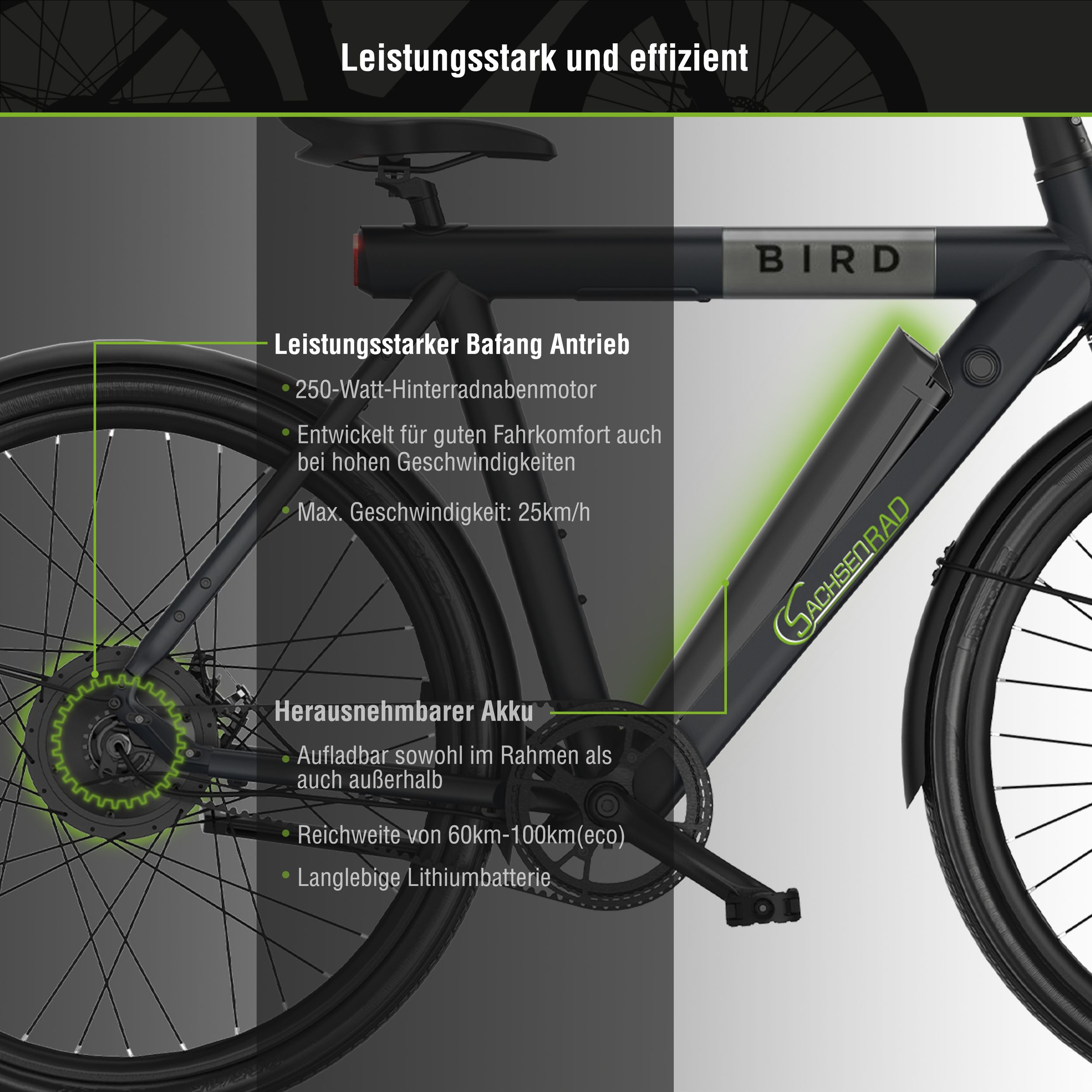 fahrradbekleidung komplettset Msport Set – Komplettanzug Radtrikot + Trägerhose mit 5D-Gel-Polsterung Antistoß Cube Fahrrad Bekleidung Kinder, Fressnapf Farbe-Color:51. Plum
