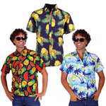 3070-Collage-Hawaihemd-v01.jpg